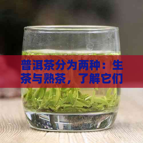 普洱茶分为两种：生茶与熟茶，了解它们的区别与特点