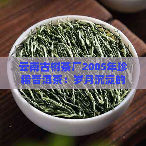 云南古树茶厂2005年珍稀普洱茶：岁月沉淀的醇厚味道