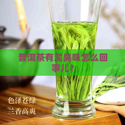 普洱茶有泥臭味怎么回事儿？