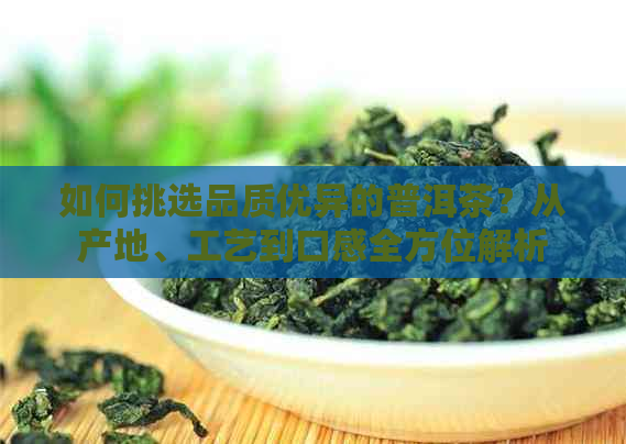 如何挑选品质优异的普洱茶？从产地、工艺到口感全方位解析