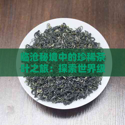 临沧秘境中的珍稀茶叶之旅：探索世界级茶文化的魅力