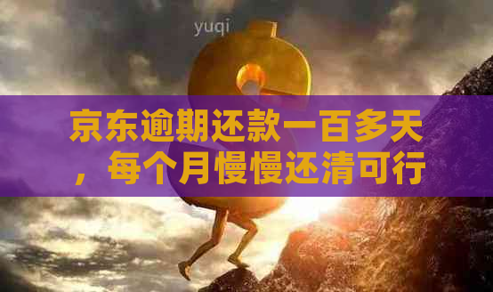 京东逾期还款一百多天，每个月慢慢还清可行吗？如何操作？