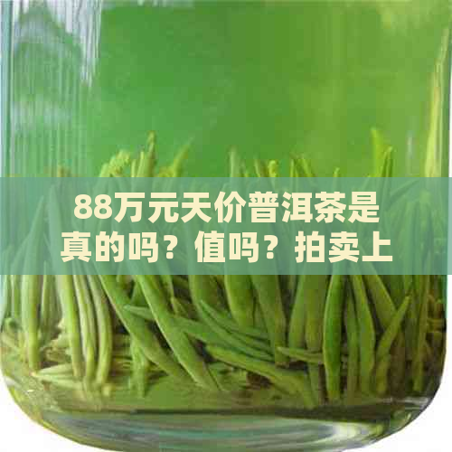 88万元天价普洱茶是真的吗？值吗？拍卖上千万的天价普洱茶无人问津。