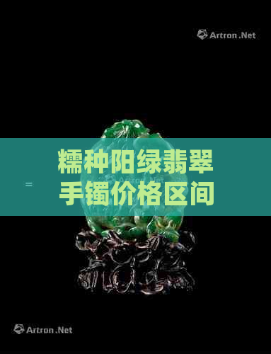 糯种阳绿翡翠手镯价格区间及挑选要点