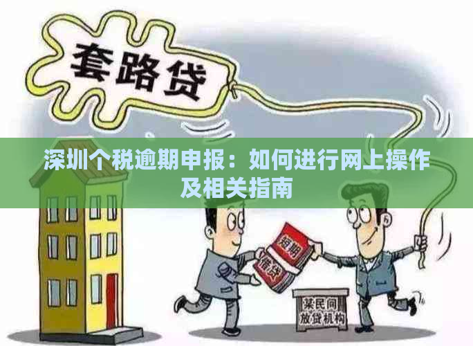 深圳个税逾期申报：如何进行网上操作及相关指南