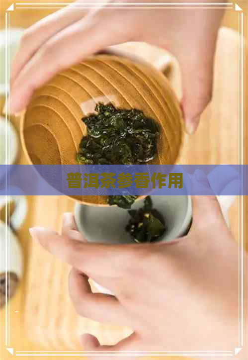 普洱茶参香作用