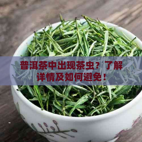 普洱茶中出现茶虫？了解详情及如何避免！