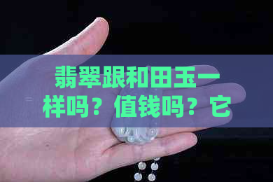 翡翠跟和田玉一样吗？值钱吗？它们的区别是什么？