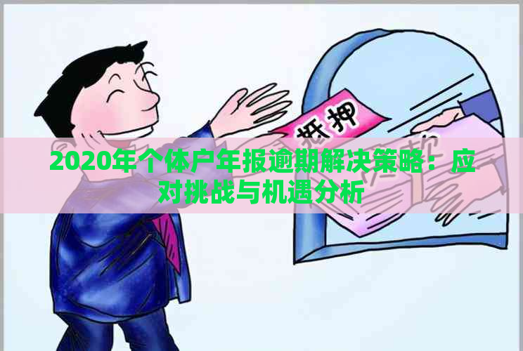 2020年个体户年报逾期解决策略：应对挑战与机遇分析