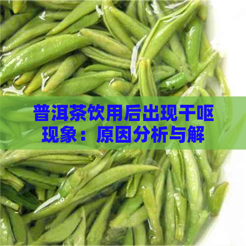 普洱茶饮用后出现干呕现象：原因分析与解决方法