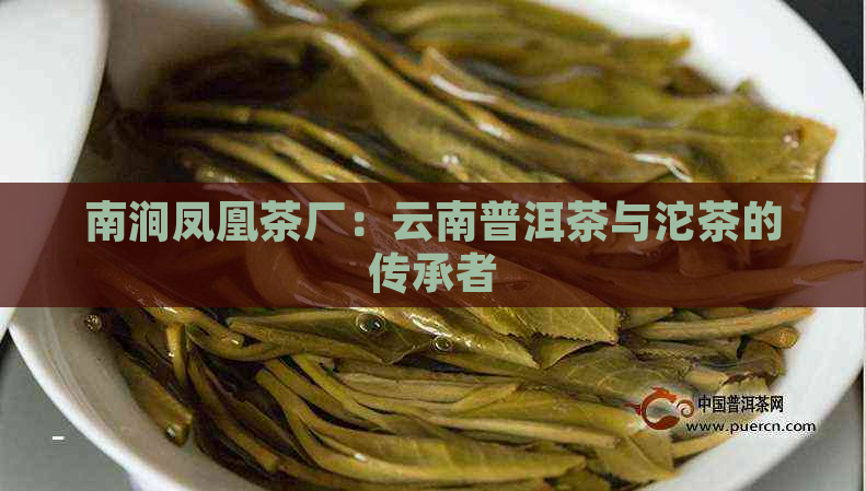 南涧凤凰茶厂：云南普洱茶与沱茶的传承者