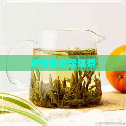 诚普茶业普洱茶