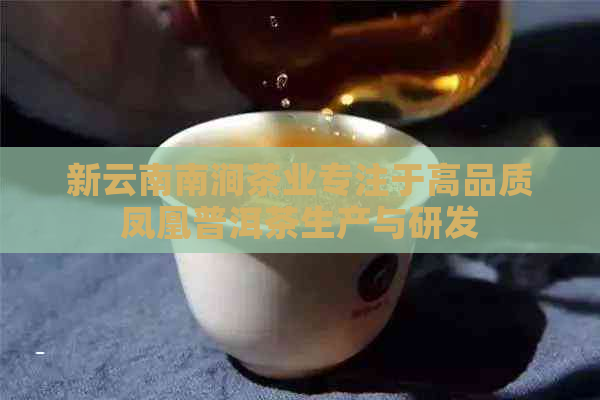 新云南南涧茶业专注于高品质凤凰普洱茶生产与研发