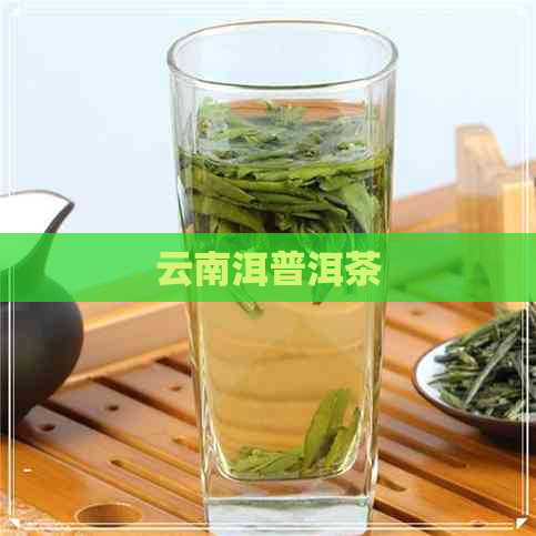 云南洱普洱茶