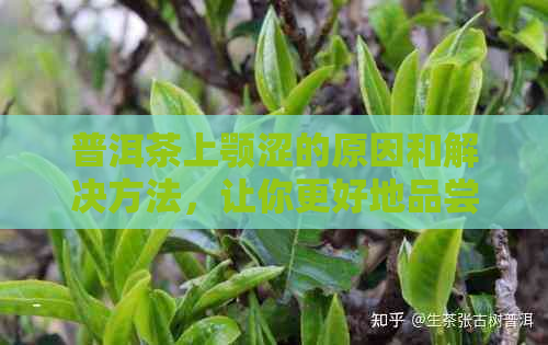 普洱茶上颚涩的原因和解决方法，让你更好地品尝普洱茶