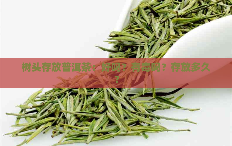 树头存放普洱茶：好吗？有吗？存放多久？