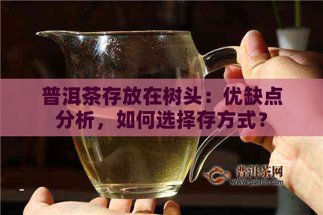 普洱茶存放在树头：优缺点分析，如何选择存方式？