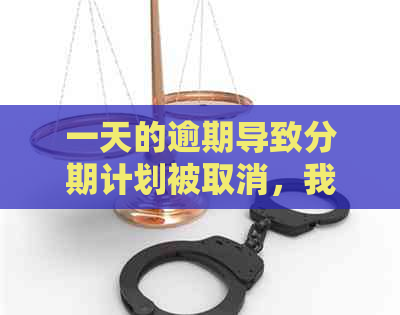 一天的逾期导致分期计划被取消，我该如何应对？