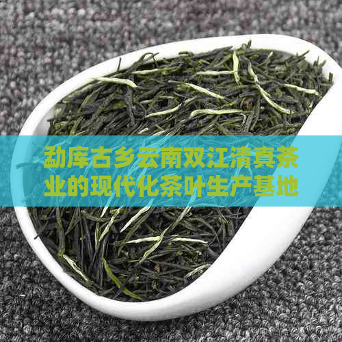 勐库古乡云南双江     茶业的现代化茶叶生产基地