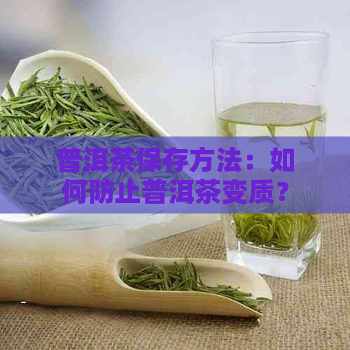 普洱茶保存方法：如何防止普洱茶变质？