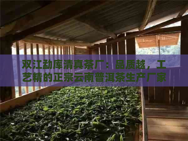 双江勐库     茶厂：品质越，工艺精的正宗云南普洱茶生产厂家