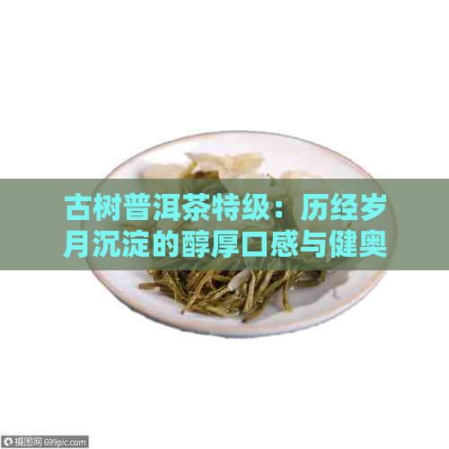 古树普洱茶特级：历经岁月沉淀的醇厚口感与健奥秘