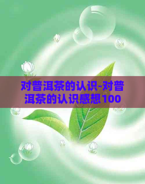 对普洱茶的认识-对普洱茶的认识感想1000字