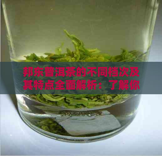 邦东普洱茶的不同档次及其特点全面解析：了解你的茶叶所属档次和品质