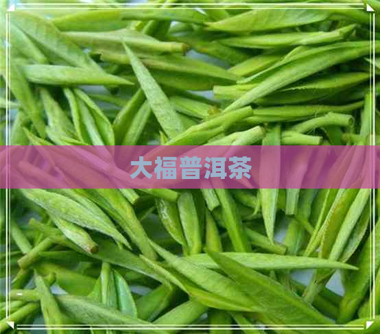 大福普洱茶