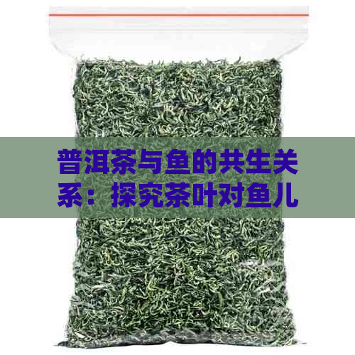 普洱茶与鱼的共生关系：探究茶叶对鱼儿健的益处