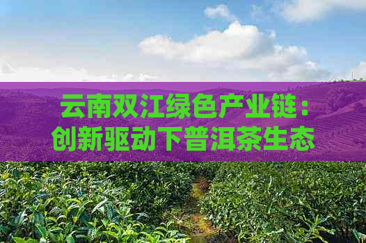 云南双江绿色产业链：创新驱动下普洱茶生态茶厂的发展之路