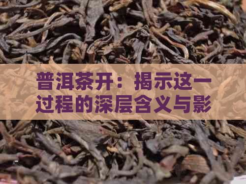 普洱茶开：揭示这一过程的深层含义与影响