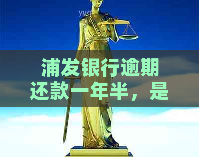 浦发银行逾期还款一年半，是否可以协商分期偿还？