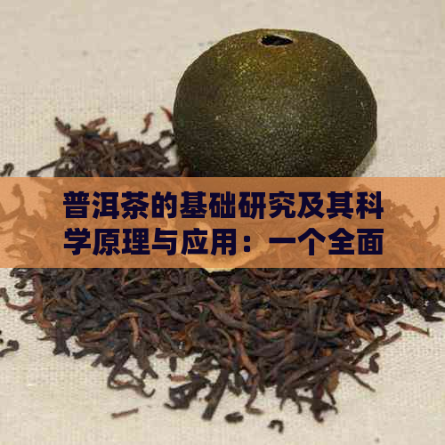 普洱茶的基础研究及其科学原理与应用：一个全面的探索与分析