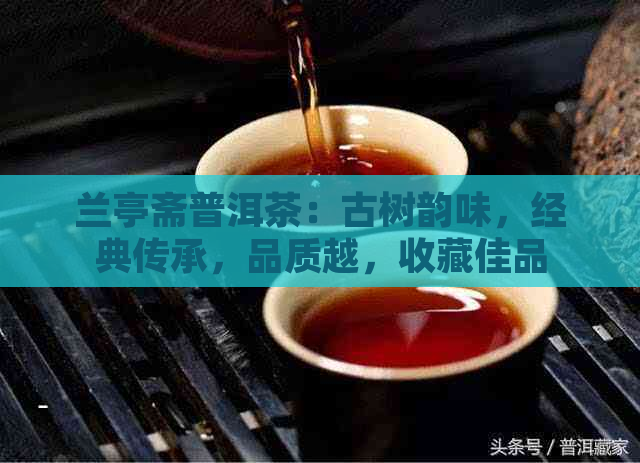 兰亭斋普洱茶：古树韵味，经典传承，品质越，收藏佳品