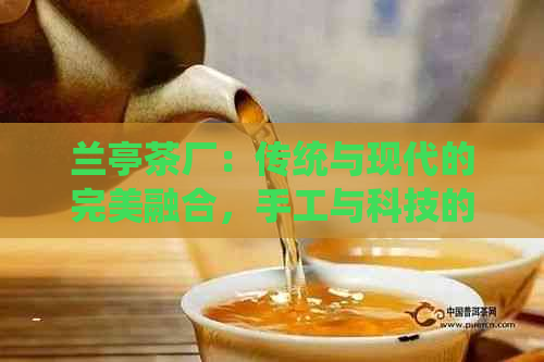 兰亭茶厂：传统与现代的完美融合，手工与科技的独特体验