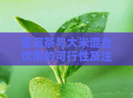 普洱茶与大米混合饮用的可行性及注意事项