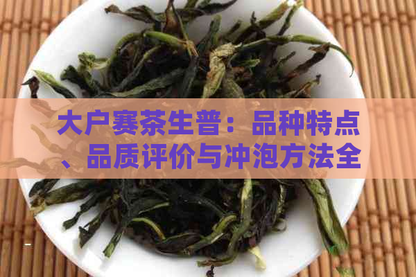 大户赛茶生普：品种特点、品质评价与冲泡方法全面解析，助您选购和品鉴