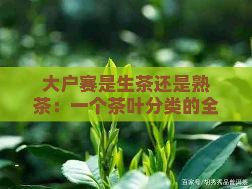 大户赛是生茶还是熟茶：一个茶叶分类的全面指南