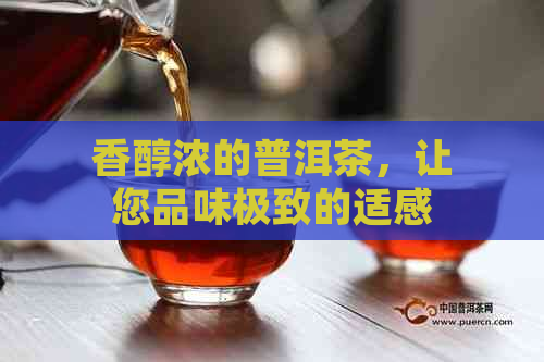 香醇浓的普洱茶，让您品味极致的适感