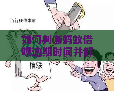 如何判断蚂蚁借呗逾期时间并解决方法，你不可错过的秘！