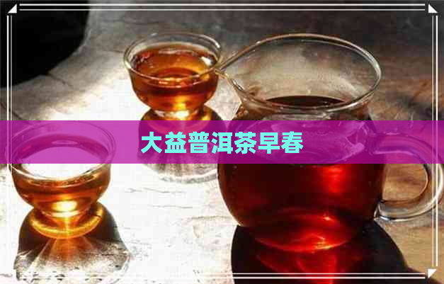 大益普洱茶早春