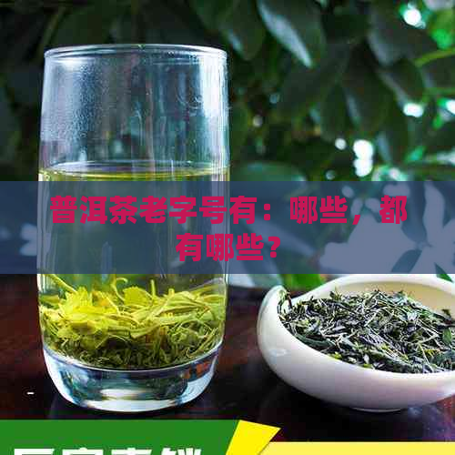 普洱茶老字号有：哪些，都有哪些？