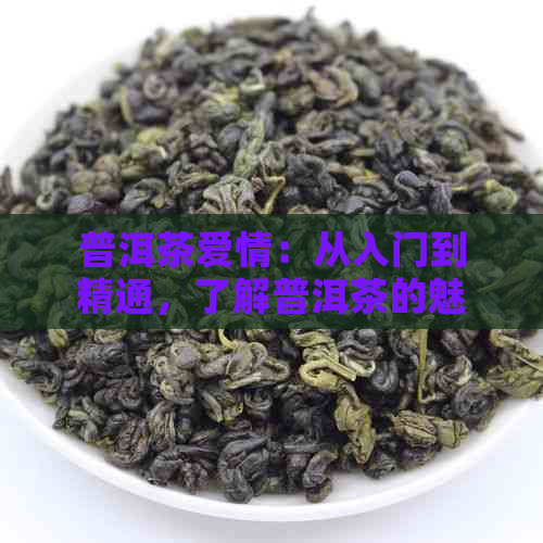 普洱茶爱情：从入门到精通，了解普洱茶的魅力与制作工艺