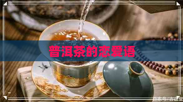 普洱茶的恋爱语