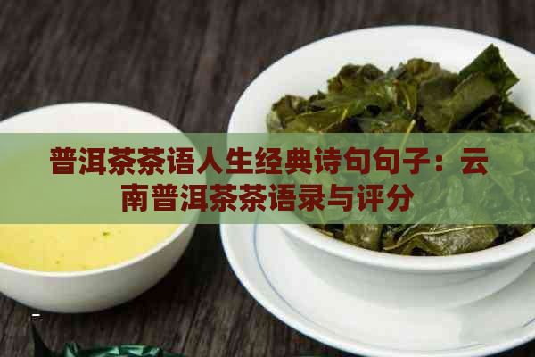 普洱茶茶语人生经典诗句句子：云南普洱茶茶语录与评分