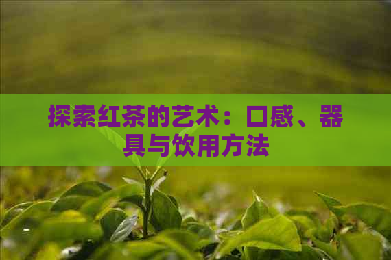 探索红茶的艺术：口感、器具与饮用方法