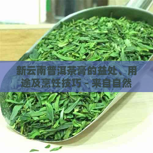 新云南普洱茶膏的益处、用途及烹饪技巧 - 来自自然的健之选