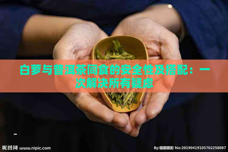 白萝与普洱茶同食的安全性及搭配：一次解决所有疑虑