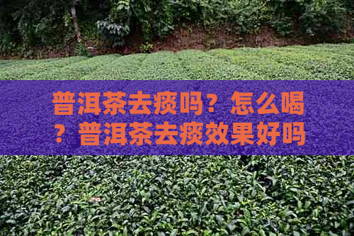 普洱茶去痰吗？怎么喝？普洱茶去痰效果好吗？有科学依据吗？